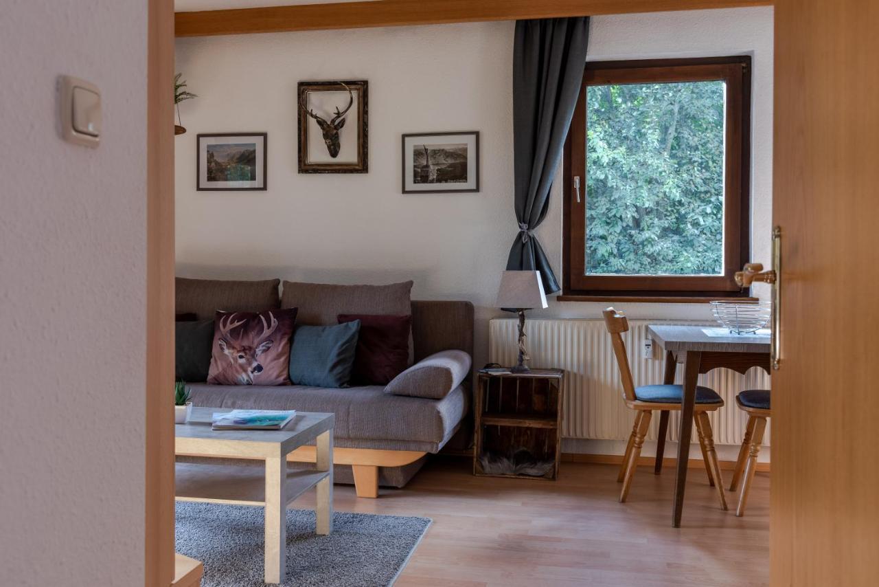 Apartment, Haus Lederer Zell am See Dış mekan fotoğraf